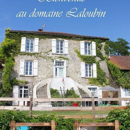Montagnac-sur-Auvignon Domaine Laloubinヴィラ エクステリア 写真