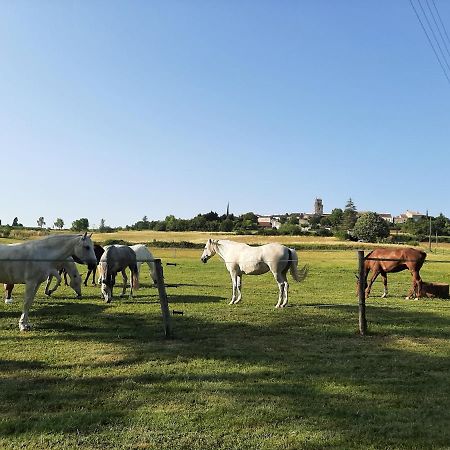 Montagnac-sur-Auvignon Domaine Laloubinヴィラ エクステリア 写真