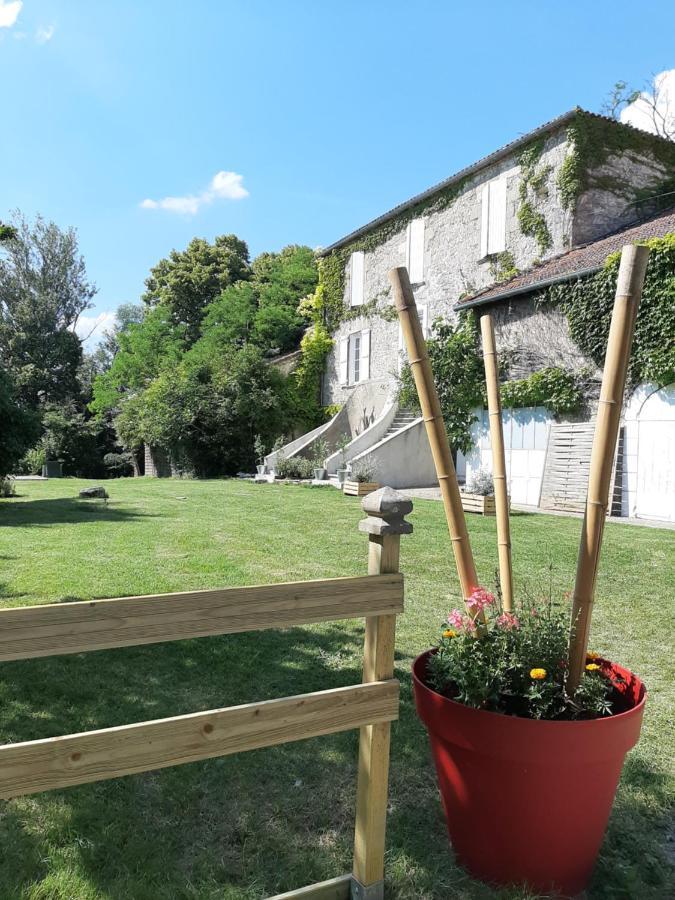 Montagnac-sur-Auvignon Domaine Laloubinヴィラ エクステリア 写真