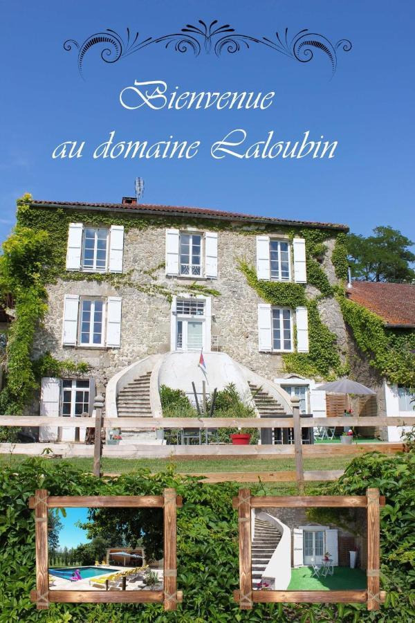 Montagnac-sur-Auvignon Domaine Laloubinヴィラ エクステリア 写真