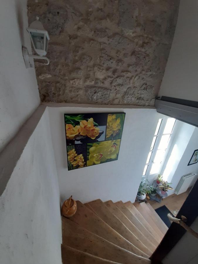 Montagnac-sur-Auvignon Domaine Laloubinヴィラ エクステリア 写真